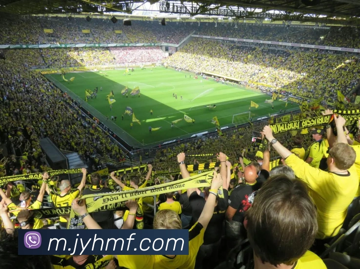 九游会j9平台生态图